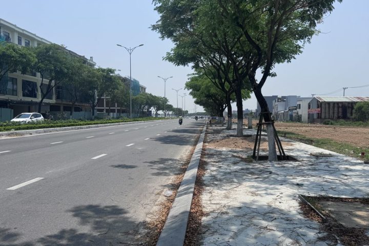 Dãy lô mặt tiền Võ Chí Công nhìn dọc tuyến, hàng cây trưởng thành (ảnh thực tế 10/2026)